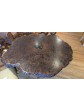Claro Walnut Burl Single Slab Dining Table